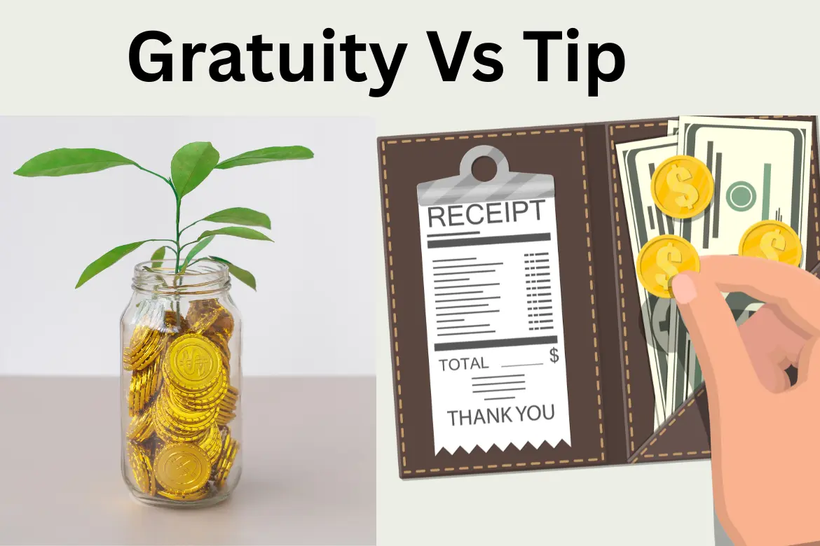 Gratuity Vs Tip