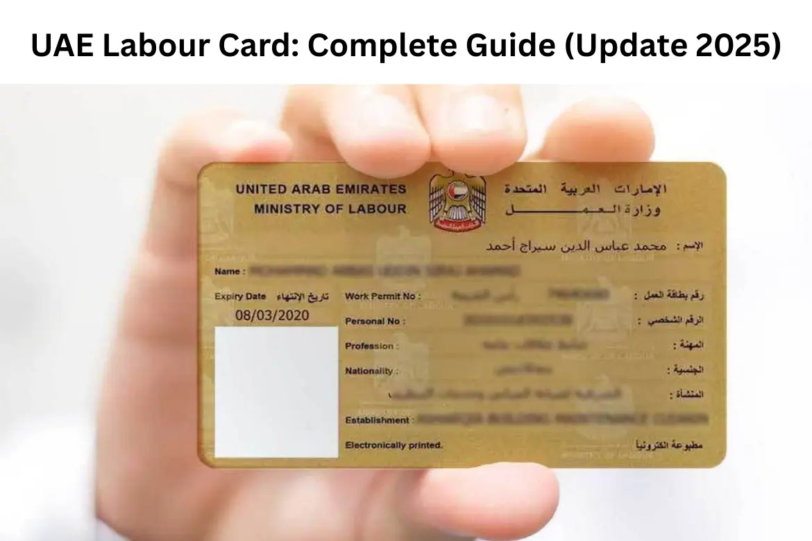 UAE Labour Card: Complete Guide (Update 2025) – Everything You Need to Know. 1 UAE Labour Card- Complete updated Guide